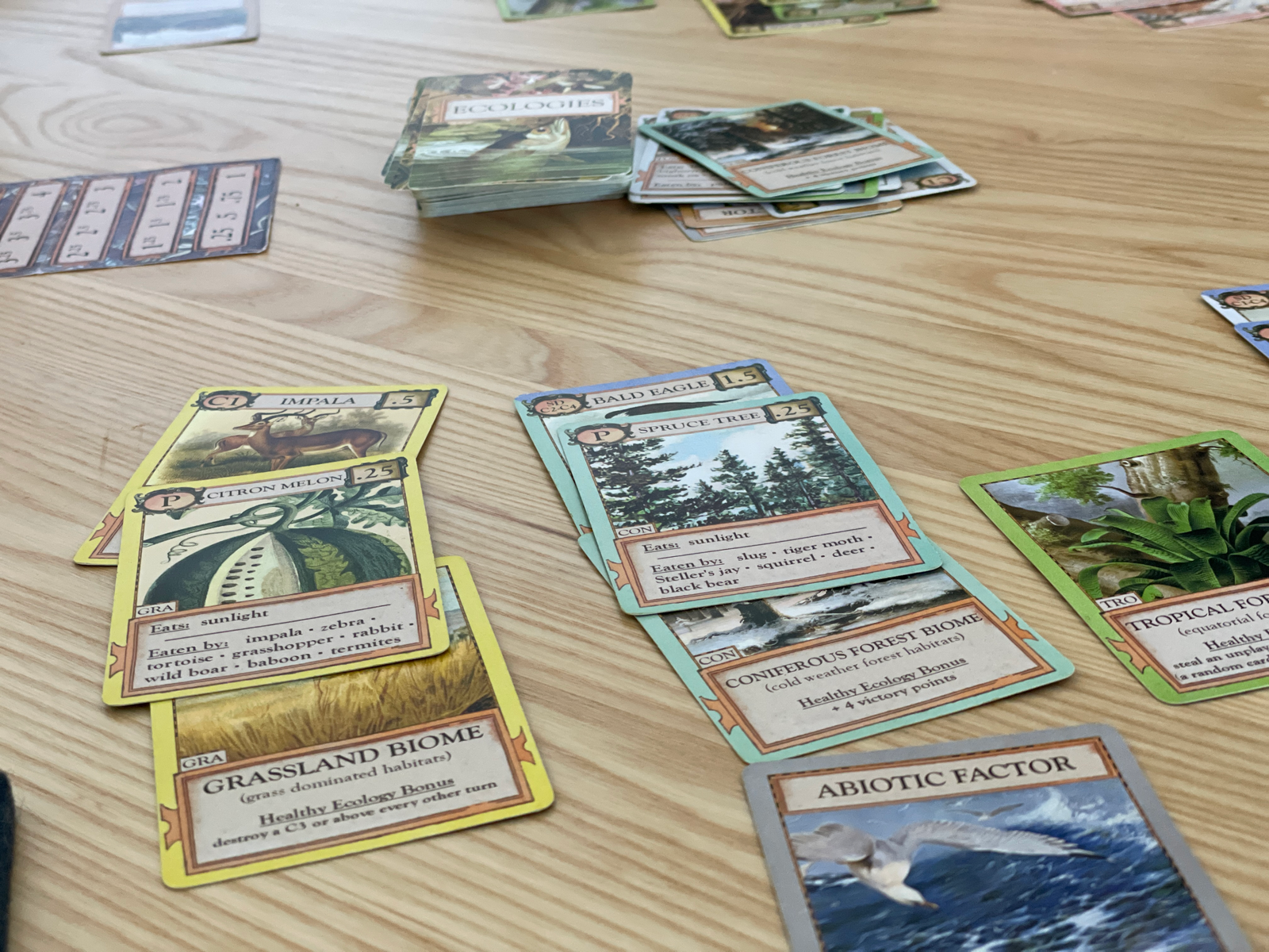 cards from the game ecologies