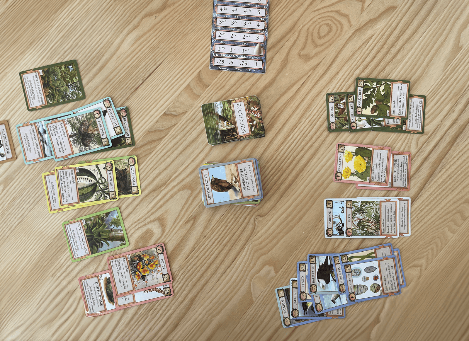 a full game of ecologies laid out on the table