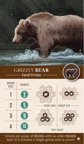 cascadia board game review