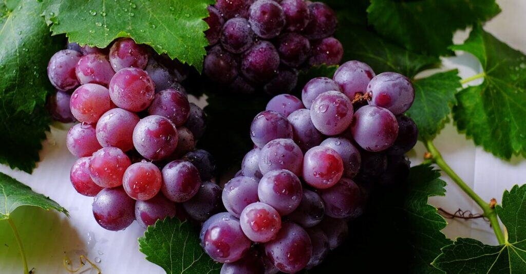 pexels-photo-708777-708777 Close-up of fresh purple grapes with water droplets on green grape leaves, showcasing their delicious and juicy appeal.